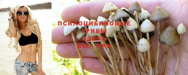 а пвп мука Алзамай